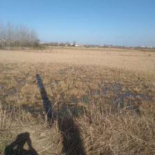 فروش زمین 800متری داخل طرح هادی در گیلاکجان