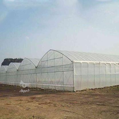 ساخت و ساز گلخانه . مشاوره گلخانه . گلخانه صیفی جات در گروه خرید و فروش خدمات و کسب و کار در کردستان در شیپور-عکس1