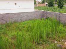 زمین 157 متری مسکونی خیابان وحدت در شیپور