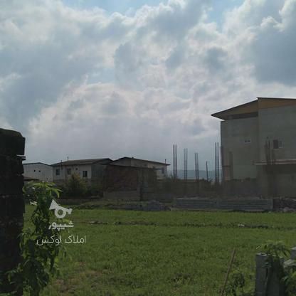  زمین مسکونی 150 متر در خانه دریا در گروه خرید و فروش املاک در مازندران در شیپور-عکس1