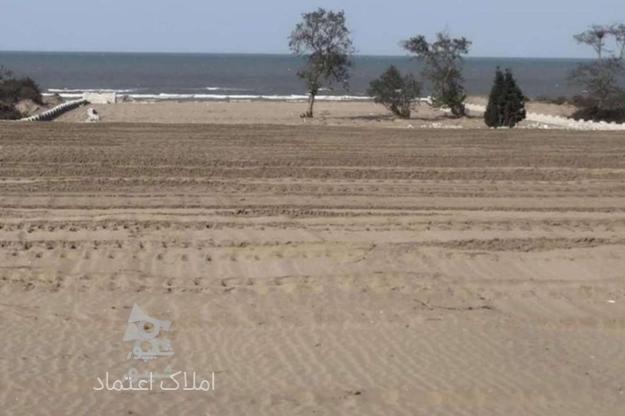 فروش زمین ساحلی 200000 متری در گروه خرید و فروش املاک در مازندران در شیپور-عکس1