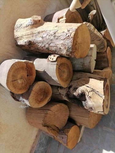 چوب خشک مخصوص ذغال