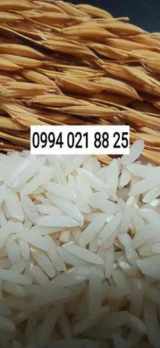 برنج طارم مازندران ( ارسال مستقیم از کشاورز )