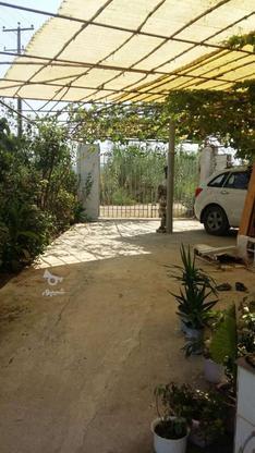 فروش باغ 2800 متری درسمسکنده در گروه خرید و فروش املاک در مازندران در شیپور-عکس1