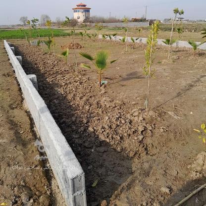 فروش زمین 240 متر در مزرس در گروه خرید و فروش املاک در مازندران در شیپور-عکس1