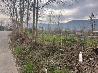 زمین با کاربری مسکونی لیالستان250متر