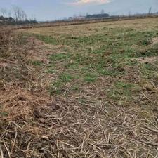 فروش زمین کشاورزی 4000 متر در رودسر