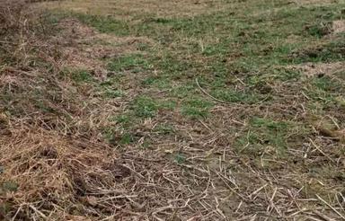 فروش زمین کشاورزی 4000 متر در رودسر