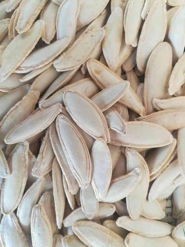 فروش انواع بذرهیبرید تخمهs400_s300_کدوگوشتی