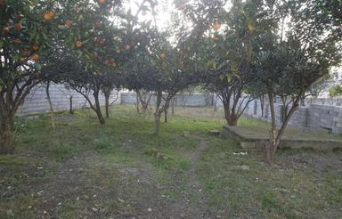 فروش زمین کشاورزی 400 متر در سعادت آبادباغ پرتقال