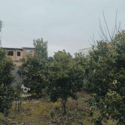 زمین مسکونی 170 متر در کوچکسرا،قائم در گروه خرید و فروش املاک در مازندران در شیپور-عکس1