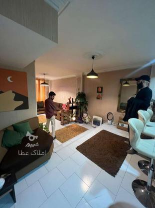 فروش آپارتمان 52 متر در قصرالدشت در گروه خرید و فروش املاک در تهران در شیپور-عکس1