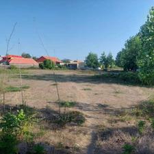 فروش زمین 4 هزار متری بر دوم دریا با سند تک برگ