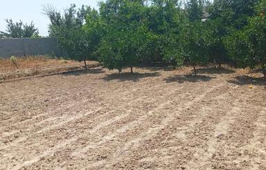 زمین مسکونی 580متر