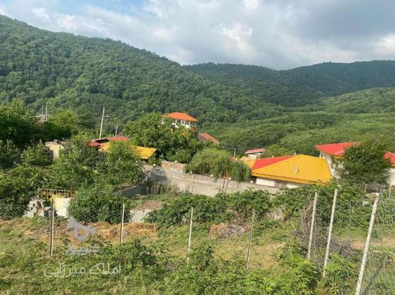 فروش زمین مسکونی 245 متری در ییلاق سوادکوه مازندران انارم در گروه خرید و فروش املاک در مازندران در شیپور-عکس1