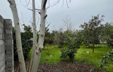 فروش زمین 360 متر در بندپی شرقی