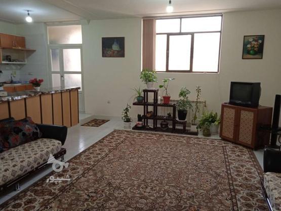 آپارتمان مبله صدرا دوخوابه کوتاه مدت در گروه خرید و فروش املاک در فارس در شیپور-عکس1
