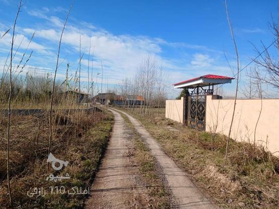 زمین مسکونی کوچصفهان گیلوا رشت 450متر  در گروه خرید و فروش املاک در گیلان در شیپور-عکس1