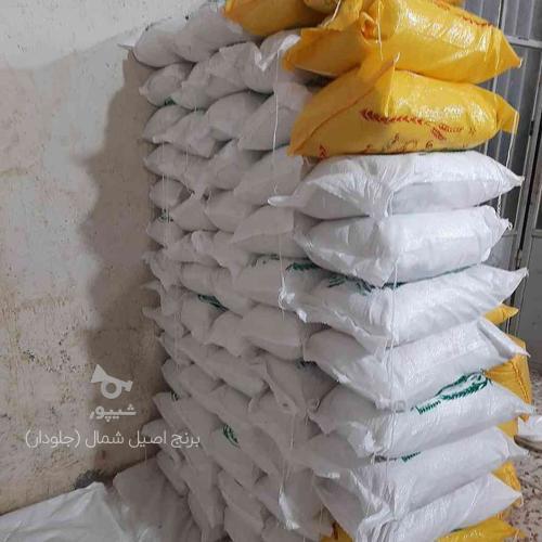 اعطای نمایندگی برنج اصیل شمال در شهر ری