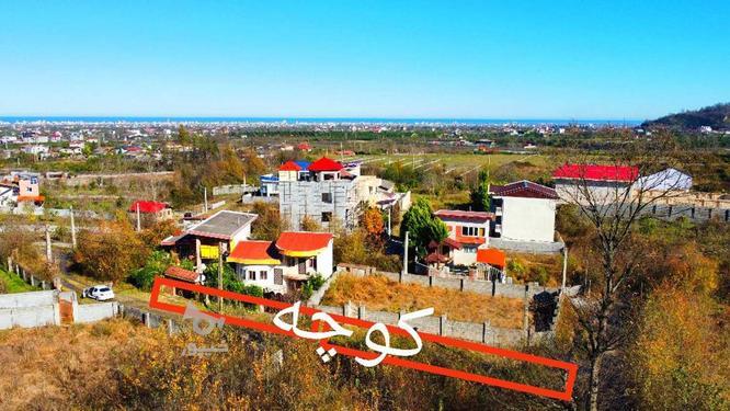 فروش زمین مسکونی 306 متر در جاده دو هزار در گروه خرید و فروش املاک در مازندران در شیپور-عکس1