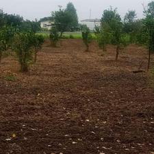 250مترزمین توبافت دونبش نزدیک دریاچه وجنگل جاده نظامی