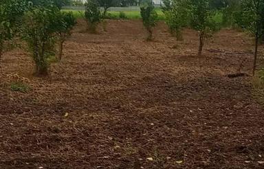 250مترزمین توبافت نزدیک دریاچه وجنگل جاده نظامی