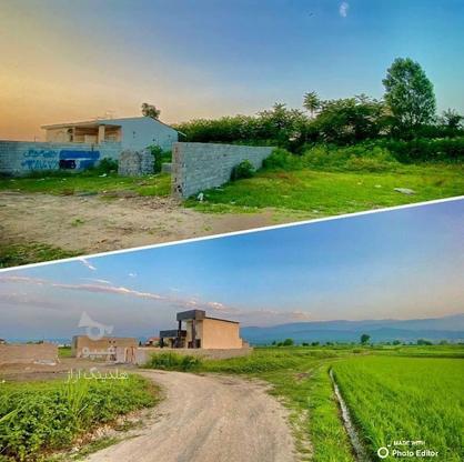 فروش زمین مسکونی 200 متر اقساط 10ماه در توسکا در گروه خرید و فروش املاک در مازندران در شیپور-عکس1