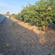 فروش زمین مناسب خونه باغ متر در کمربندی غربی زیر قیمت