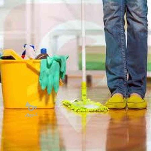 نظافت منزل توسط آقا و خانم