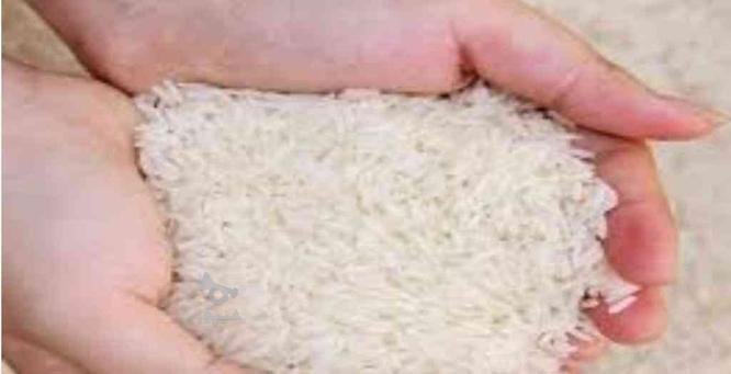 برنج هاشمی خانگی به مقدار 100 کیلو
