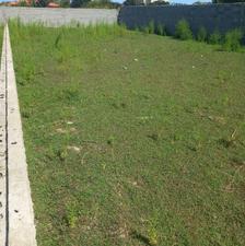 فروش زمین مسکونی 294متری سند دار در بابلسر