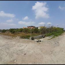 زمین مسکونی 650 متری در کهنه دان