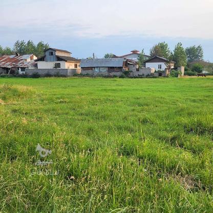 زمین مسکونی 137 متر درروستای پنچاه در گروه خرید و فروش املاک در گیلان در شیپور-عکس1