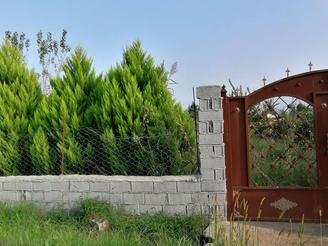 فروش زمین باغی روستای علو نزدیک به شهر