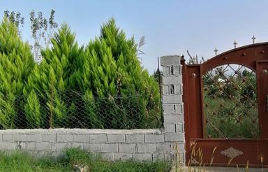 فروش زمین باغی روستای علو نزدیک به شهر