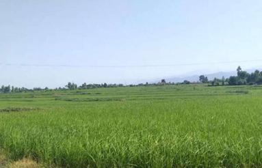 فروش زمین کشاورزی 13هزار متر در روستای تجینک