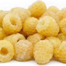 نهال رزبری زرد کیوی گلد