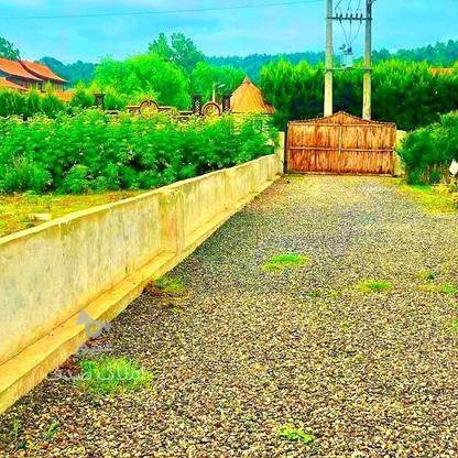 زمین مسکونی 221 متری/شهرک دنج سند6دانگ مجوز در گروه خرید و فروش املاک در مازندران در شیپور-عکس1