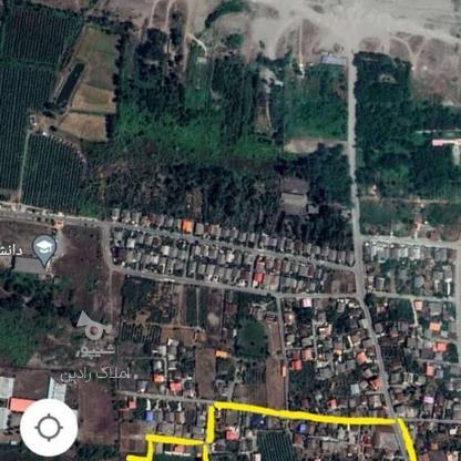 زمین مسکونی 330 متر در گسکرمحله در گروه خرید و فروش املاک در گیلان در شیپور-عکس1