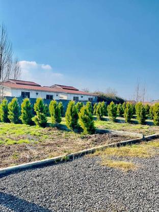 فروش زمین مسکونی 150 متر در مرکز شهر در گروه خرید و فروش املاک در مازندران در شیپور-عکس1