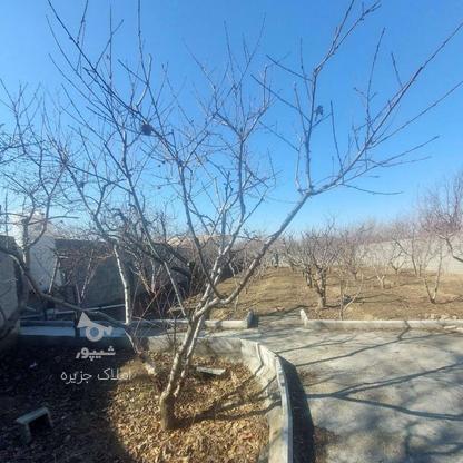 فروش زمین مسکونی 530 متر در کردان تهراندشت در گروه خرید و فروش املاک در البرز در شیپور-عکس1