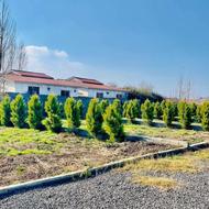 فروش زمین مسکونی 200 متر در امیرآباد شهرکی قابل ساخت