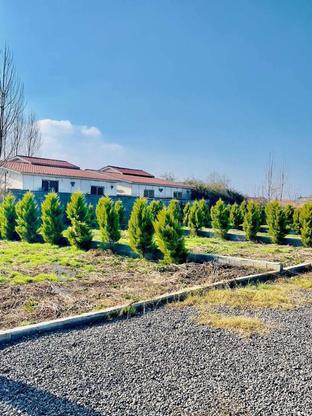 فروش زمین مسکونی 200 متر در امیرآباد شهرکی قابل ساخت در گروه خرید و فروش املاک در مازندران در شیپور-عکس1