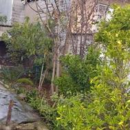 ویلا 235 متری یه ویلای دلی