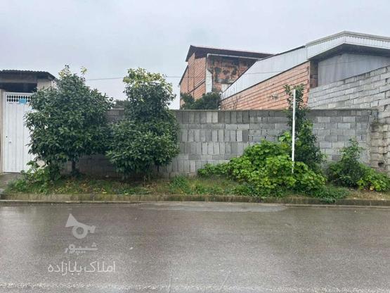 فروش زمین مسکونی 153 متر در پرچیکلا در گروه خرید و فروش املاک در مازندران در شیپور-عکس1