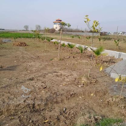 فروش زمین 145 متر در دشت سر خوش نشین در گروه خرید و فروش املاک در مازندران در شیپور-عکس1