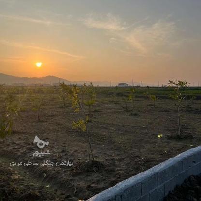 فروش زمین 150 متر در مزرس در گروه خرید و فروش املاک در مازندران در شیپور-عکس1