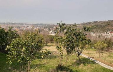 زمین مسکونی 620 متری در وسطی کلا