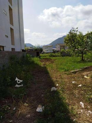 فروش زمین مسکونی 349 متر در بلوار طالقانی در گروه خرید و فروش املاک در مازندران در شیپور-عکس1