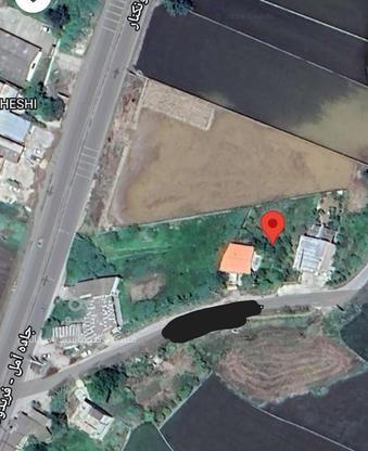 فروش زمین مسکونی 830 متر در دابودشت در گروه خرید و فروش املاک در مازندران در شیپور-عکس1